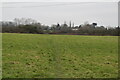 Faint footpath across field in TN25 7EH