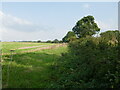 Stubble field, Chacombe in OX17 2JY