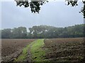 Bridleway towards Ford's Croft Farm in TA17 8TN