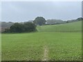 Bridleway below Castle Hill in TA17 8TN