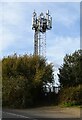 Communications mast near the A38 in PL7 5AB