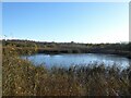 Pond in Wigan Flashes Nature Reserve in WN2 5JY