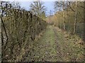 Permissive bridleway to the south of Coalmoor Landfill Site in TF4 3QB