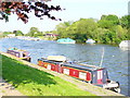 Sunbury, the River Thames in TW16 6BT