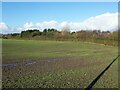 Open arable farmland off Gibbons Road in WN4 0XJ