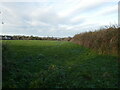 Grass field on the edge of Clowne in S43 4AU