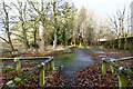 Abandoned picnic area, Carrickshill Wood in DH9 8US