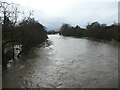 Afon yn llifeiriant / River in spate, Cynwyd in LL21 0LF