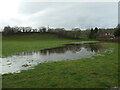 Cae dan ddŵr / Flooded field, Cynwyd in LL21 0LF