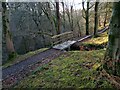 Bridge on woodland path in G75 0QZ