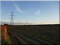 Field and pylons off Cross Lane in NG23 5TU