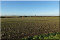 Field south of Coveney in CB6 2XS
