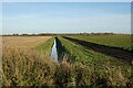 Ditch on Home Dams Fen in CB6 2DJ