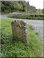 Old Boundary Marker on Hit or Miss Corner near Swinbrook in OX18 4EG