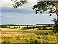 Just outside Burrough Green looking down into the Stour valley in CB8 0SN
