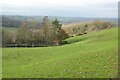 Farmland at Birchwood Common in WR13 5ES
