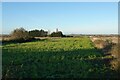 Fields below Land Floods Drove in CB6 2DT