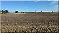 Arable field next to The Manor in Thornton Le Fen