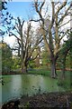 Small Pond at Braziers End in HP5 2UR
