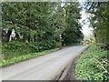Lane approaching Avington in SO21 1DE