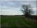 Field and wind turbine near Barlborough in S43 4QP