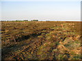 Beeley Moor - Ancient Packhorse Route and Concessionary Footpath View in S42 7DB