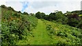 Path below Lower Trayne Farm near Chambercombe in EX34 9RP