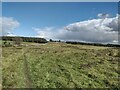View east along Hadrian's Wall Path from Down Hill near Halton Shields in NE45 5QA