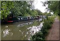 Narrowboats moored along the Ashby Canal in Dadlington & Sutton Cheney