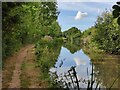 Towpath along the Ashby Canal in CV13 6JJ