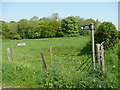 Bridleway off Webbs Lane in RG7 5LJ