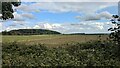 Field beside Stoke Road in PE33 9AL