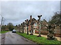 Severely pruned trees, Fyfield Manor in SN9 5JS