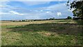 Field south of Methwold Hythe in IP26 4QJ