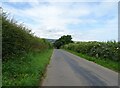 Pasture Field Lane towards Ugglebarnby  in YO22 5HU