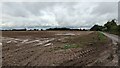 Wet field north of Mount Pleasant in NR17 1XH