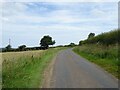 Lane from Ugglebarnby towards Sneaton in YO22 5HU