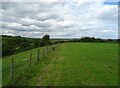 Grazing and fence line in YO22 5HW
