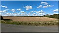 Arable field near Little Fransham in NR19 2JL