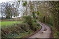 Enmore : Country Lane in TA5 2ED