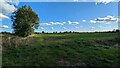 Field near Tucks Farm in PE32 2LX