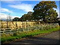 Fence, hedge and railing combo in Nether Wyresdale