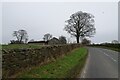 Wall along the road near Hardgate in HG3 3JS