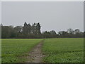 Footpath towards Gidley Lane in RG20 8TX