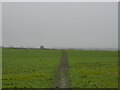 Footpath towards New Road in RG20 8TX