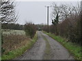 Bridleway towards Beedon Lodge in RG20 7JH