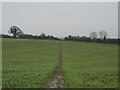 Footpath towards New Road in RG20 8TN