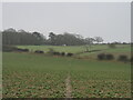Footpath towards Beedon Common Farm in RG20 8SU