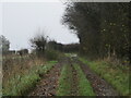 Bridleway towards Beedon in RG20 8SU