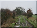 Bridleway towards Beedon in RG20 8SW